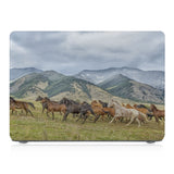 MAC-ASORTED01-HERDHORSE