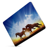MAC-ASORTED01-SUNRISEHORSES-SHOW-5